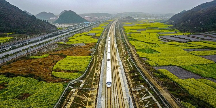 Africa and the Silk road