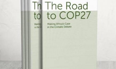 Préparer  la COP27 Faire valoir le point de vue  africain dans le cadre du  débat mondial sur le climat