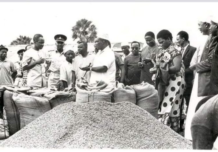 Vyama vya Ushirika vya Ujamaa nchini Tanzania