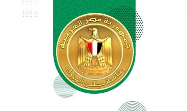 The Egyptian Cabinet is a partner and official sponsor of the Nasser Fellowship for International Leadership
