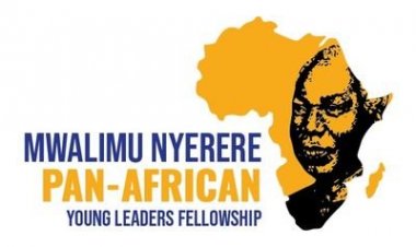 Mwalimu Nyerere Pan-African Young Leaders Fellowship 