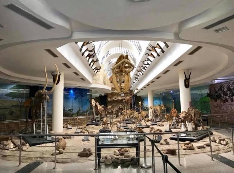 Le Zoo de Gizeh : le deuxième plus ancien zoo du monde
