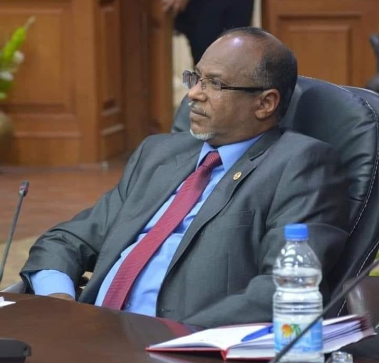 Ambassador Nadir  Fath El-Aleem