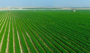 Le Beheira est une terre de bonnes actions