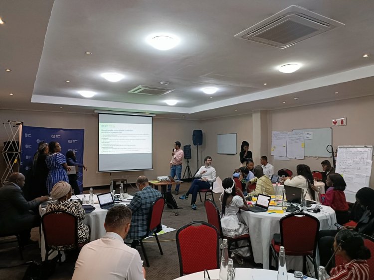 Ghazaly participe à la formulation de la stratégie continentale pour l’emploi des jeunes «YES Africa».