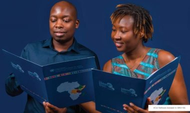 Economic Commission for Africa (ECA) establishes a fellowship programme: Apply Now 