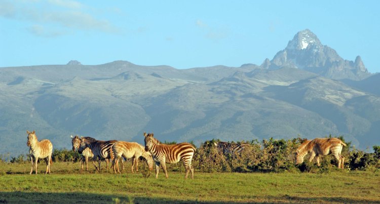 Ufunguzi wa Hifadhi ya Kwanza ya Mlima Duniani kwa Makazi ya Mnyama Bongo